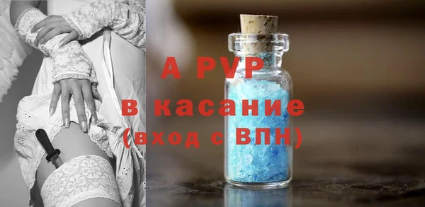 амф Гусиноозёрск