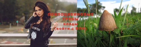 соль ск Гусь-Хрустальный