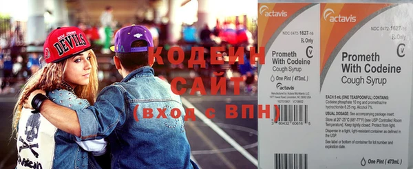 2c-b Гусев