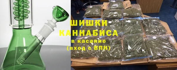 амф Гусиноозёрск