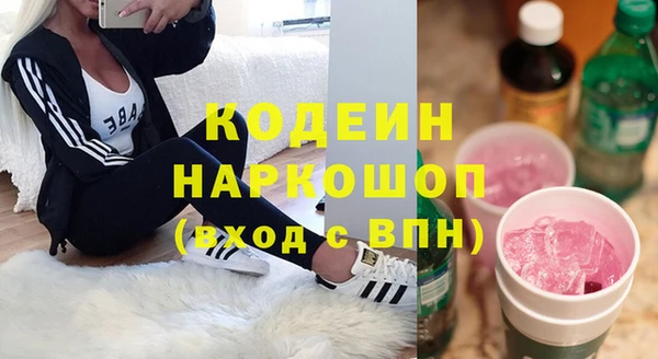 амф Гусиноозёрск