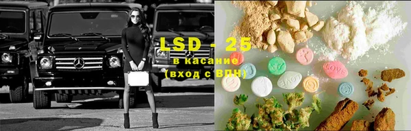 амф Гусиноозёрск