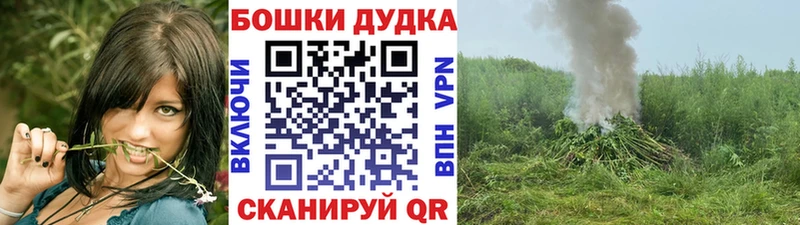Шишки марихуана сатива Купить где Архангельск